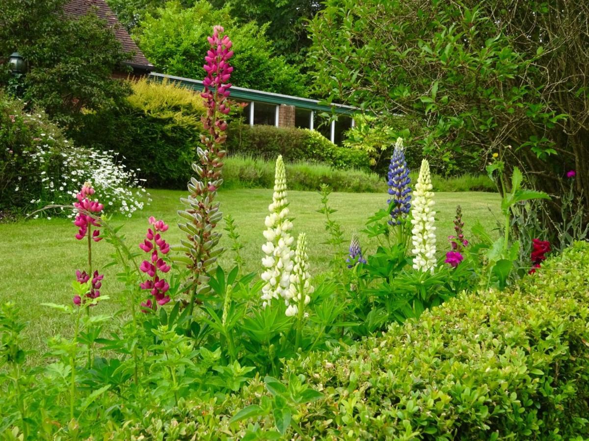 Passford House Hotel Lymington Exterior foto